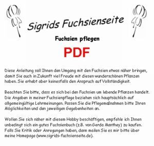PDF Fuchsienpflege